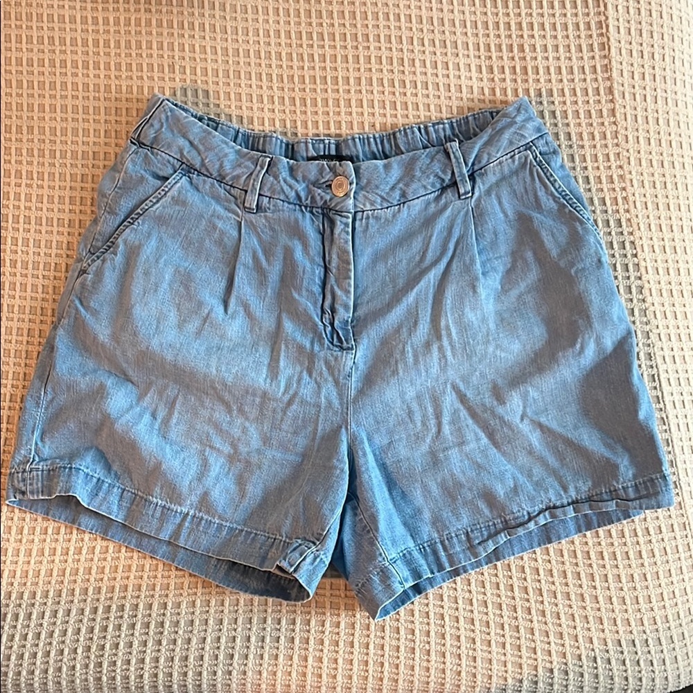 RW&CO Light Blue Cotton Shorts – Size 29